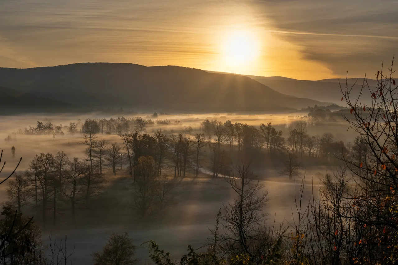 Jutarnja magla nad dolinom s golim drvećem, sunce izlazi iznad brda i obasjava pejzaž zlatnim svjetlom